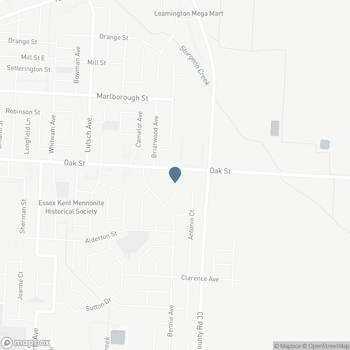 9 EVANS AVENUE, Leamington, Ontario N8H 4X2